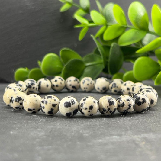 Natural Dalmation Jasper Bracelet